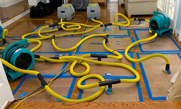 Professional Sewage Cleanup technician working in Perry, GA